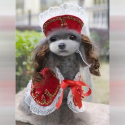 Carnival Cosplay Dog Costume