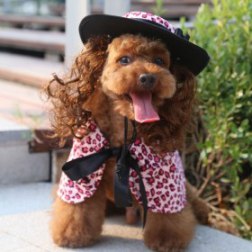 Pink Leopard Print Cloak