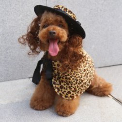 Gold Leopard Print Cloak