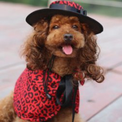 Red Leopard Print Cloak