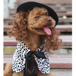 Black Spotty Cow Print Cloak