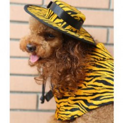 Yellow Striped Cloak