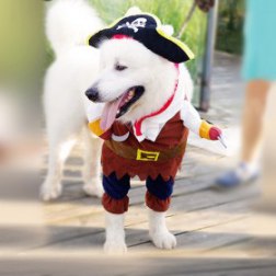 Funny Pirates Costume