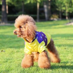 Blue Classical Chinese Tang Suit