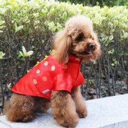 Red Classical Chinese Tang Suit