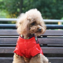 Vintage Chinese Tang Suit