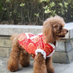 Luxury Red Peony Pattern Chinese Tang Suit