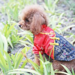 Pictograph Print Chinese Tang Suit