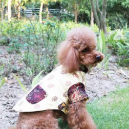 Classic Drafting Gold Chinese Tang Suit