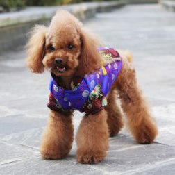 Fashion Floral Embroidered Chinese Tang Suit