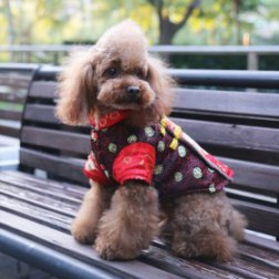 Fashion Floral Embroidered Black Chinese Tang Suit