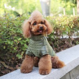 Classical Chinese Tang Suit