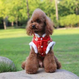 Floral Embroidered Chinese Tang Suit