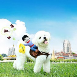 Pet Halloween Cowboy Rider Costume