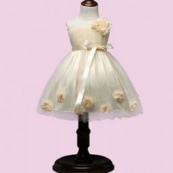 Sleeveless Flowers Embellished Tulle Skirt with Satin Belt