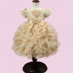 Lace Jacquard and Ruffled Tutu Dress