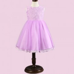 Sleeveless Embroidered Lace Bodice Toddler's Dress