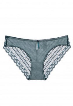 Sheer Lace Panel Panty