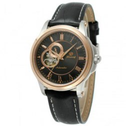 Luxury Automatic Mechanical Skeleton Dial Watch