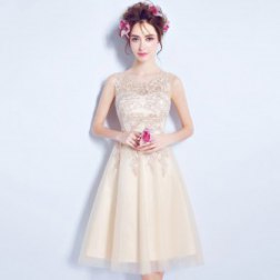 Champagne Sleeveless Appliques Lace Short Homecoming Dress