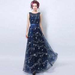 Dark Blue Sequined Sleeveless Sexy Backless Long Evening Dress