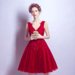 Fashion Beautiful Red Lace Sleeveless Women Cocktail Dresses
