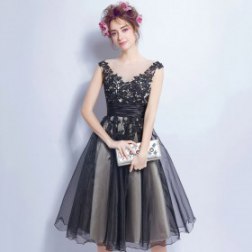 Black Elegant Tulle Lace Evening Dresses Short Sexy Lady Deep V-neck