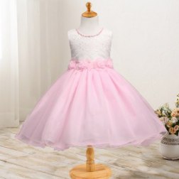 Fashion Princess Lace Flowers Ball Gown