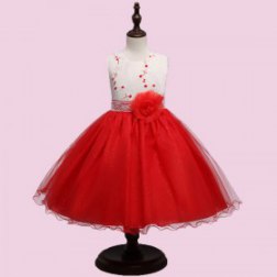 Flower Gauze Little Princess Evening Dress