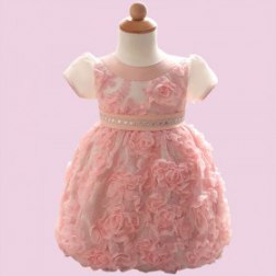 Girl Tutu Beaded Short Sleeve 3D Printed Rose Party Toddler Dress