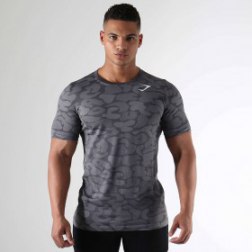 Men's Seamless Stealth Quick Dry Sports T-shirts