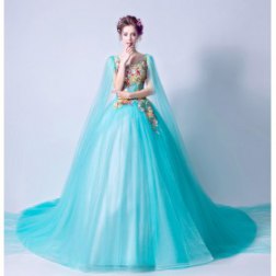 Elegant Lace Long Tail Prom Dress