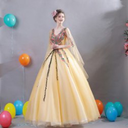 Elegant Embroidery Long Evening Dress