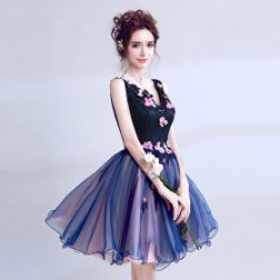 Women's Sexy V-neck Lace Embroidery Flowers Evening Gown Dress