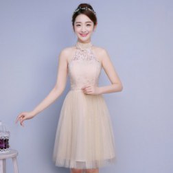 Sexy Halter Neck Lace Evening Gowns