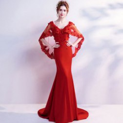 V-neck Shawl Lace Long Train Evening Dresses