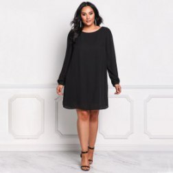 Women's Plus Size Round Neck Long Sleeve Elegant Dress