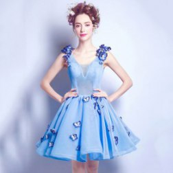 Sexy Lace V-neck Sleeveless Evening Dress