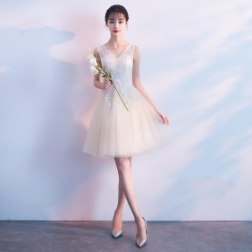 Sexy Champagne V-neck Sleeveless Evening Dress