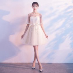 Sexy Lace Pink Embroidery Evening Dress