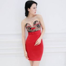 Fashion Sexy Strapless Sleeveless Bodycon Dress