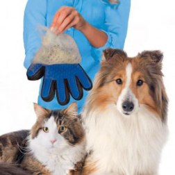 Pet Deshedding Brush Glove (Great for Cats/Dogs)