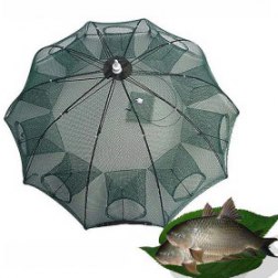 The Magic Fishing Trap