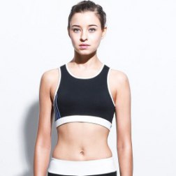 Sports Bras For Women Wireless Sports Vest