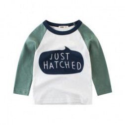 Baby Boy's Pullover Casual Long Sleeve Top