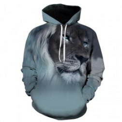 Men's 3D Lion Print Long Sleeve Hoodies
