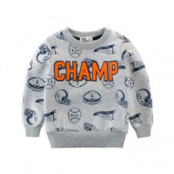 Boy's Printing Long Sleeve Pullover Top