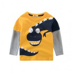 Boy's Long Sleeves Printing Pullover Top