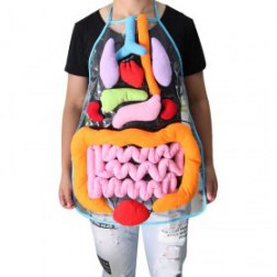 Anatomy Apron Kindergarten 3D Organ Viscera Teaching Utensil Kids Children Awareness Educational Insights Toys