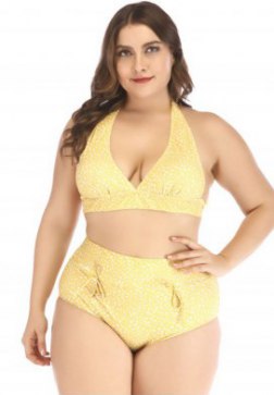 Plus Size High Waisted Bikini Set